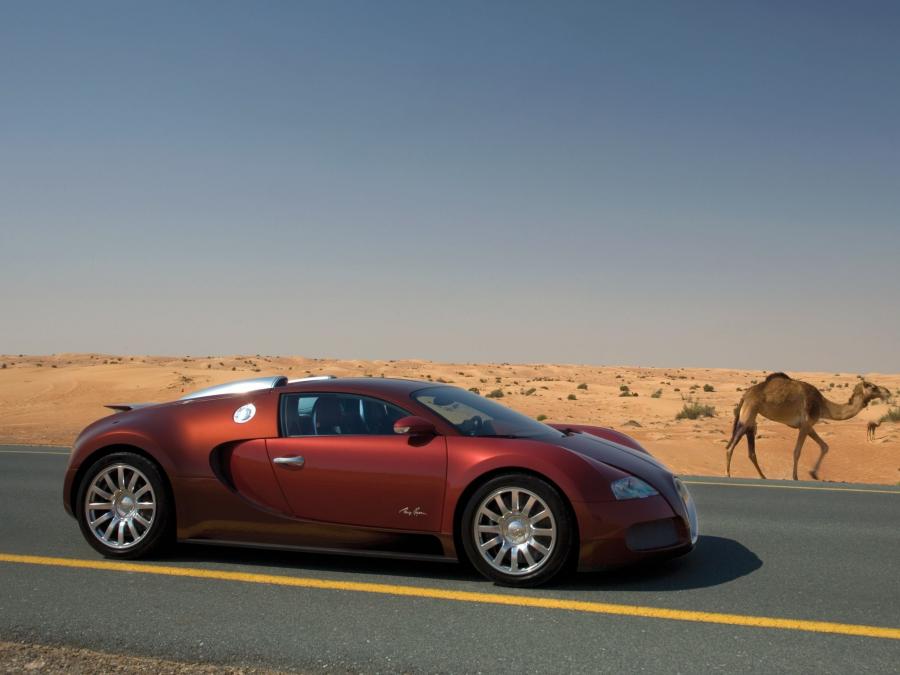  Bugatti Veyron 16.4 2005 года  (фото 89 из 98)